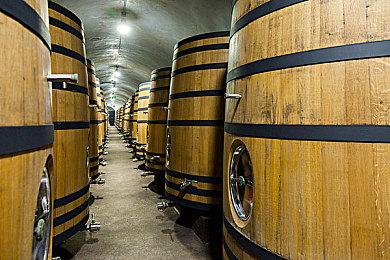 《阿拉：不为人知的历史》将于今年秋季推出